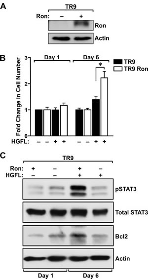 FIG6