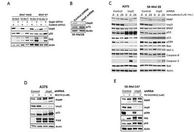 fig3