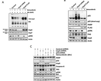 fig4