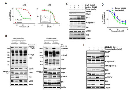 fig6