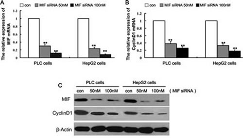 fig3