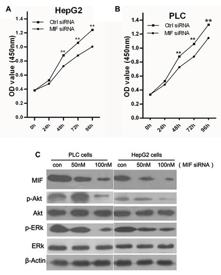 fig4