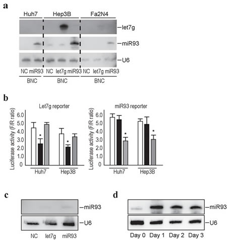 FIG2