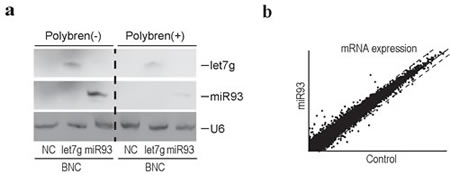 FIG3