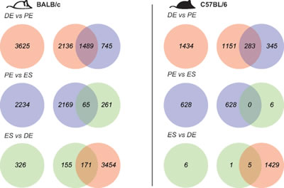 fig2