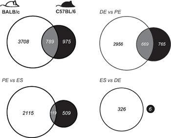 fig3
