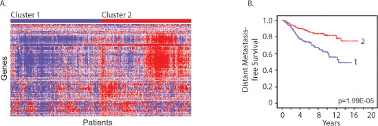 fig6