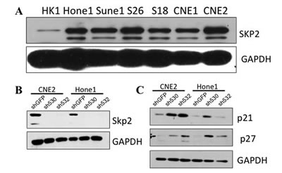 FIG3