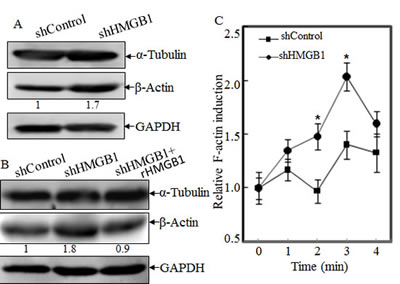 fig2a-c