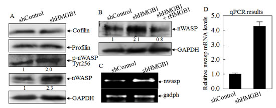 fig3a-d