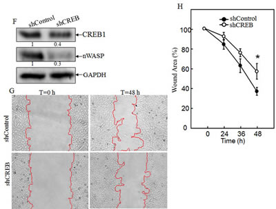 fig4 f-h