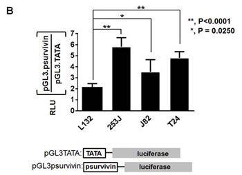 fig1b