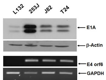 fig3