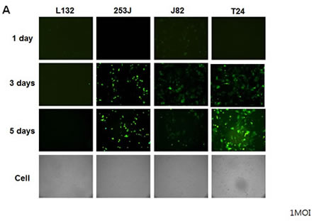 fig4a