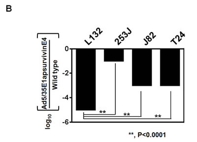 fig4b