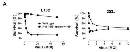 fig5a