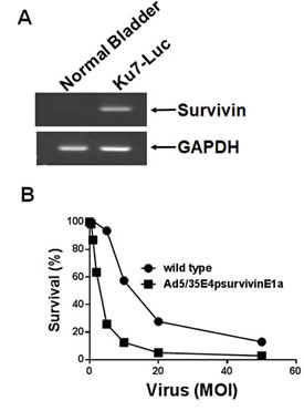 fig6a