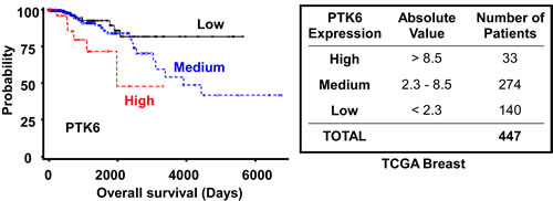 FIG6