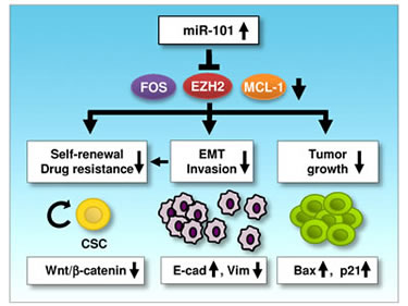 FIG6