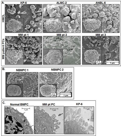 fig1