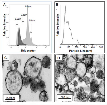 fig2