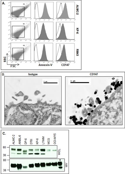 fig3