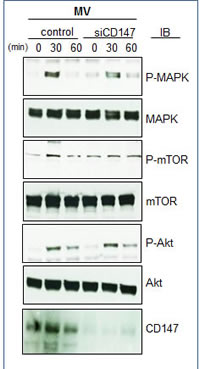fig10
