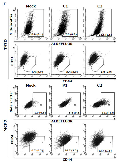 fig2f