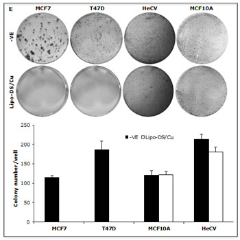 fig4e