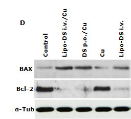 fig5d