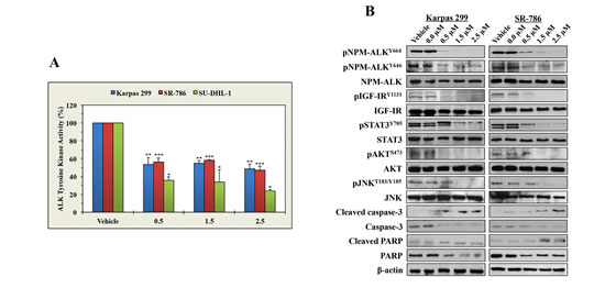 fig2