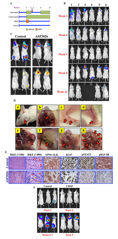 fig4