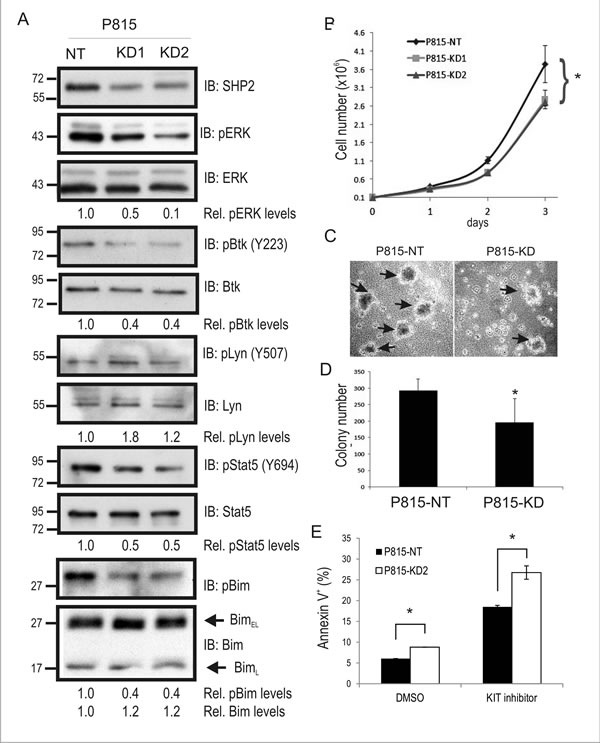 fig1