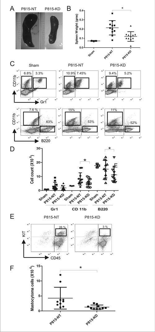 fig2