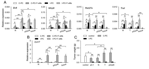 FIG1