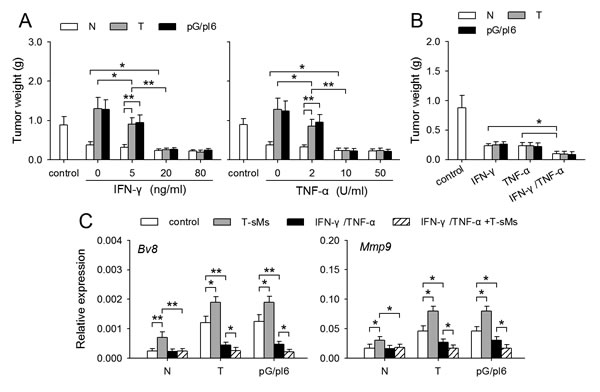 FIG2