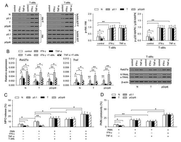 FIG3