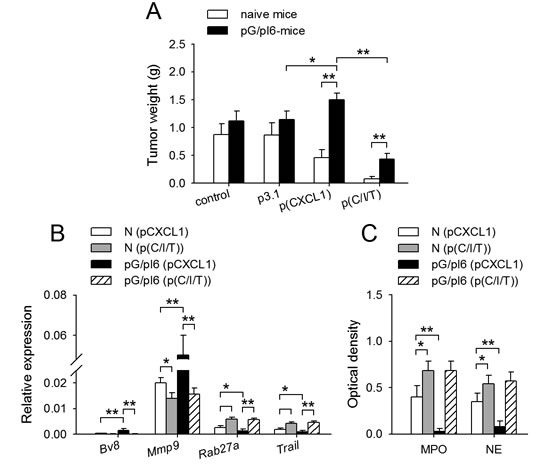 FIG4