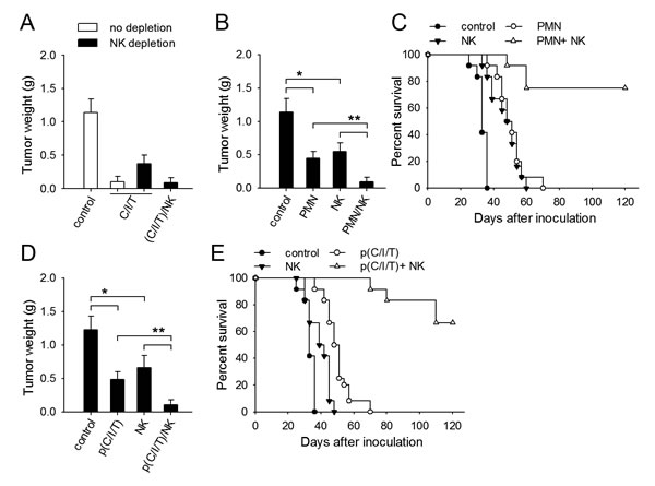 FIG6
