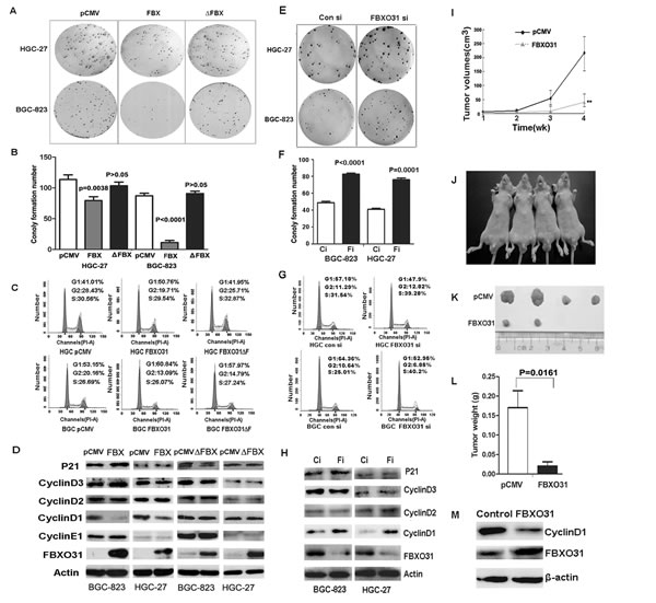FIG2