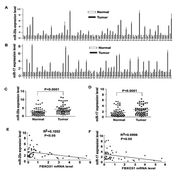 FIG4