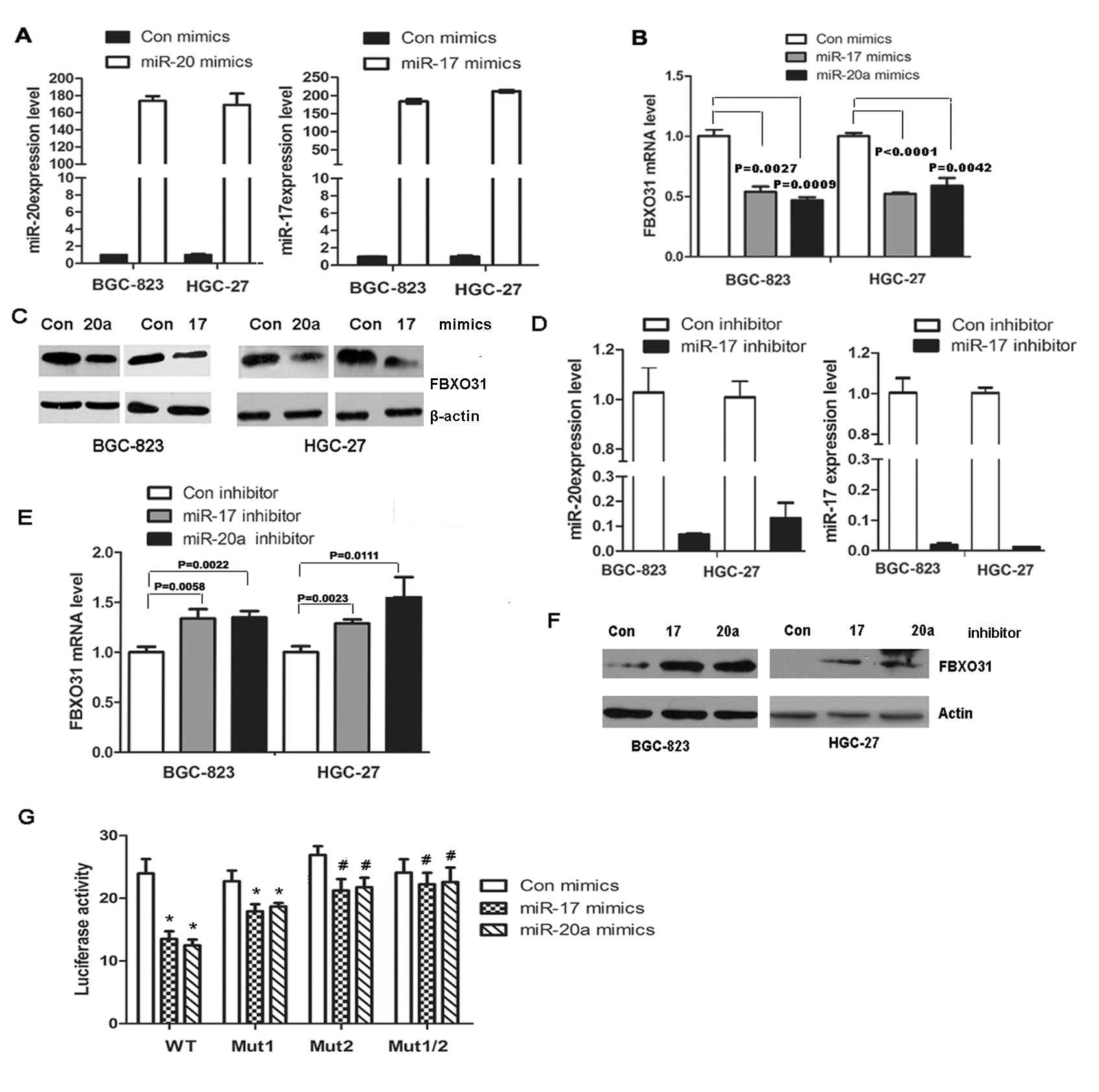 FIG3