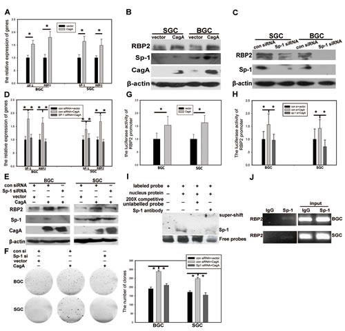 FIG3