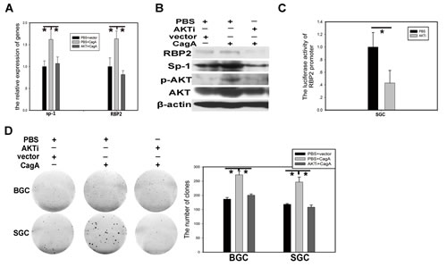 FIG4