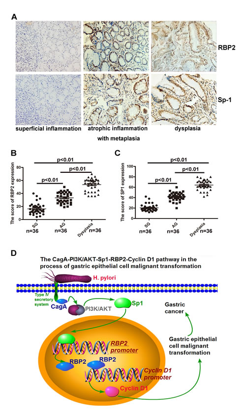 FIG6