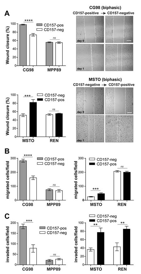 FIG3