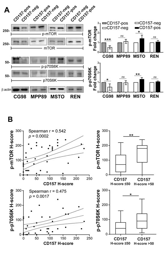 FIG4