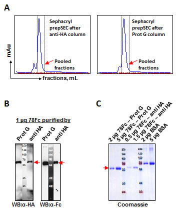 fig4