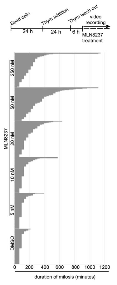 fig3