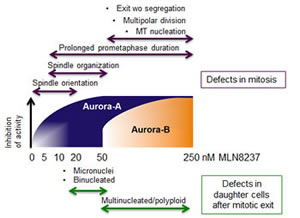 fig11